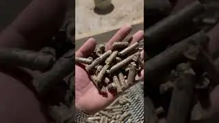 The production process of biomass pellet machine