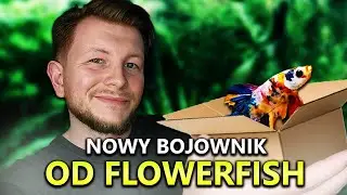Kupiłem NOWEGO bojownika od FLOWERFISH!