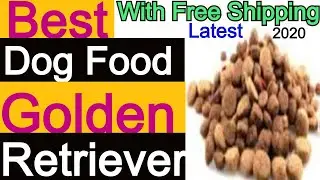 Best Dog Food For Golden Retriever [TOP 7 WITH BEST INGREDIENT 2021 ]
