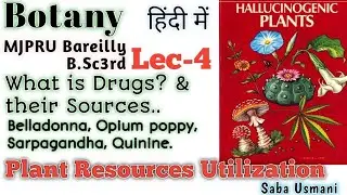 L4:#plant resource l #drug plant(Medicinal plants) #B.Sc3rd l #neet #botany  #mjpru @sabausmani6911