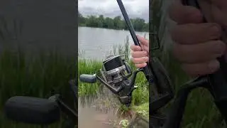Fisherwick runs water beast! @Ryleysfishinglife #fish #fishing #fortheboys #fy #fypシ #fyp #nature
