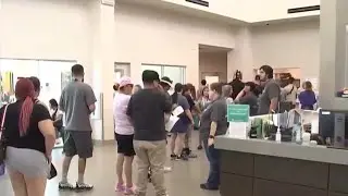 The Animal Foundation hosted adoption, foster event as they take in new animals