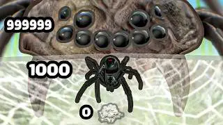 Growing a Spider Egg to MAX LEVEL TARANTULA
