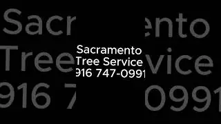 Sacramento Tree Service Trimming & Removal