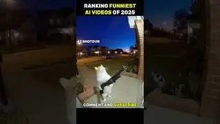 Sora 2 AI Made This Cat a Superstar!