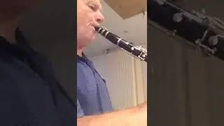 Quick Win: Lips, Beep, Body Position and Sound: Better Sound Clarinet/Sax-Reed VD-3R 20230809 132325