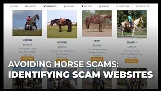 Avoiding Horse Scams: Episode 1 - Identifying Scam Websites