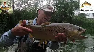 TROTA FARIO RECORD - CATTURATA A SECCA