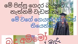 මේ තියෙන්නේ මගේ පිස්සු ගෙදර.අනිවාර්යයෙන් බැලිය යුතුයි 