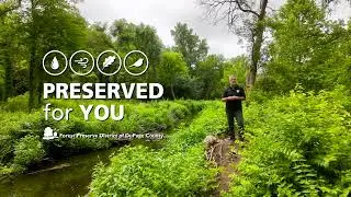 Spring Brook Creek Restoration Project Phase 3