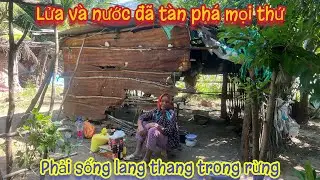 Sống trong CĂN CHÒI RÁCH NÁT cụ bà phải sống lang thang trong rừng. Tập 583