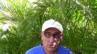 people eating dog/pet food challenge