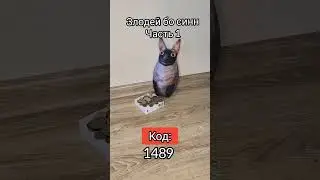 Грабитель злодей бо синн #босинн #bosinn #мемы #летучийиядовитый #максвелл #злодейбосинн #кириллплюш