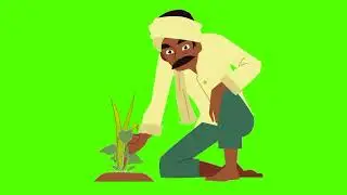 A village man planting green screen video 🙂 No copyright