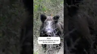 Traqueur, sanglier, ferme #chasseur #chasseresse #sanglier #boar #chasse