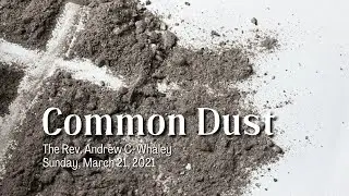 Common Dust
