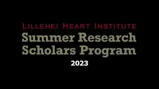 2023 LHI Summer Research Scholars Program