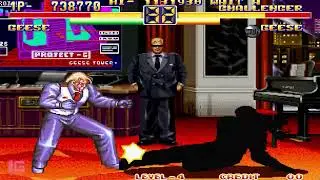 Geese vs Dark Geese - AOF2