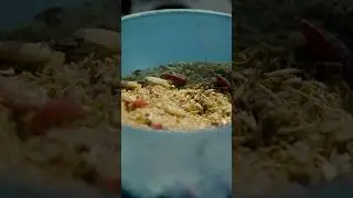 Feeder bait prep 🤗