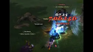 Silkroad - Feronia - RiseOfKings (700k damage not with buffer)