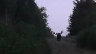2023 maine moose hunt, 64