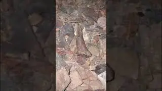 Osiris Shaft Tour Part 2 (Egypt Giza) #travel