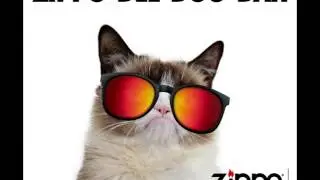 Grumpy Cat Sings Zippo Dee Doo Dah - Zippo Sunglasses