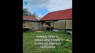 Columbofilia / Pombal Fora D'Horas / Março 2024 / VL21