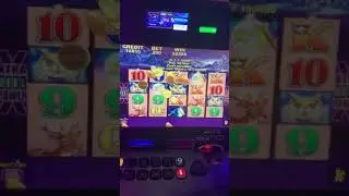 Timberwolves Slot Machine 3X5 Jackpot