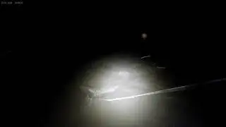 Bowfishing at night for Gar #bowfishing #Gar #nighttime #Bowfishinggar #shorts #short