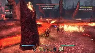 Veteran Dragon Star Arena, Final Boss!  (Tank safes the day)