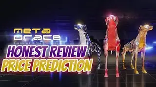 Metadrace Honest Review for Beginners | Whitepaper, Price Prediction, Game Life Span
