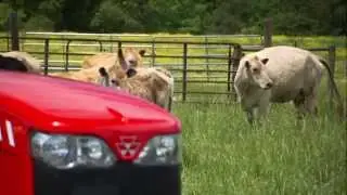 Новое видео бренда Massey Ferguson