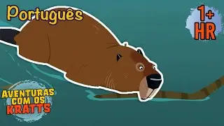 Ajudando castores a construir uma barragem [episódios completos] Aventuras com os Kratts
