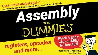 You NEED to Learn Assembly