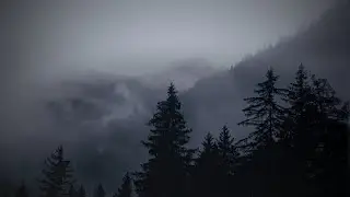 Fog Density // Green Noise Forest Soundscape for Focus