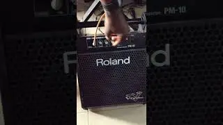 Roland PM-10 30-Watt 2x10