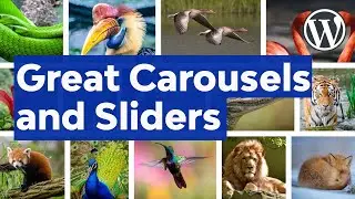 5 Tips for Great WordPress Carousels and Sliders