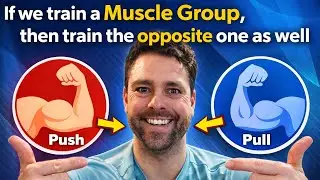 - If we a Train a Muscle Group, then Train the other one as well… 