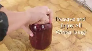 Wild Cranberry Sauce Recipe