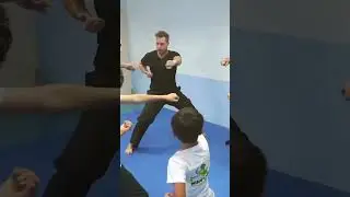 Mantis Martial Arts Curriculum: The Best Martial Arts Curriculum That Children Love