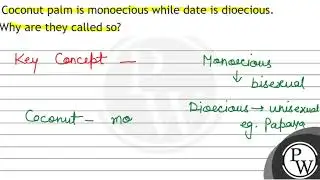 Coconut palm is monoecious while date is dioecious. Why are they called so?