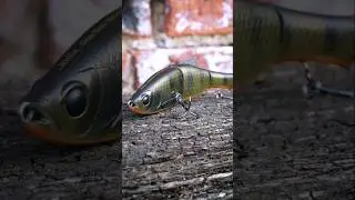 Molix Glide Bait 130 Dying! a NEW take on a swimbait!