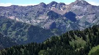 Gobblers knob