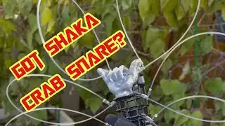 Got Shaka crab snare?