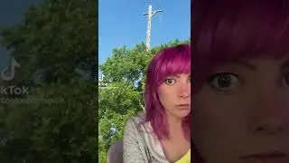 A Turtle Climbing Up A Telephone Pole?! SONG