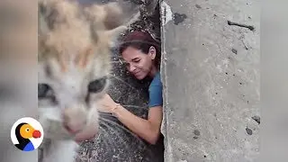 Woman Climbs into Sewer To Save Tiny Kitten | The Dodo