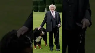 THE PRESIDENT OF IRELAND TAKES HIS DOG EVERYWHERE 😮#views #viral #viral