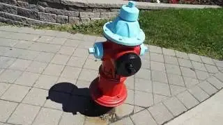 AVK Model 2780 5 1/4 Inch VO Dry Barrel Fire Hydrant