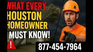 🚨 EMERGENCY TREE REMOVAL HOUSTON: What Every Homeowner Must Know! 🚨